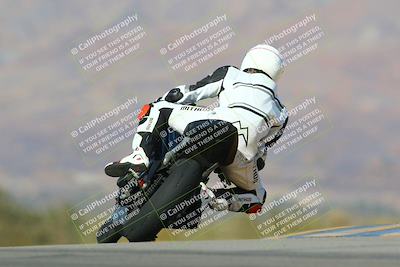 media/Jan-13-2024-SoCal Trackdays (Sat) [[9c032fe5aa]]/Turn 9 Backside (110pm)/
